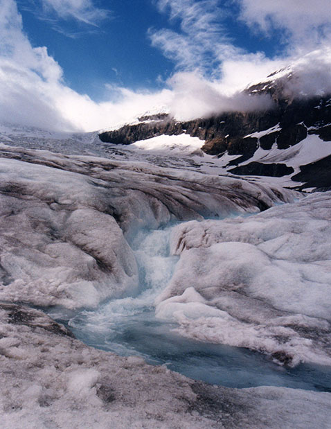 Canadian Rockies Glacier